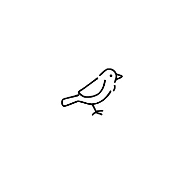 鳥のアイコンのアイキャッチ用画像