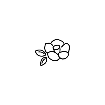 椿の花のアイコンのアイキャッチ用画像