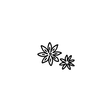 スターアニス・八角のアイコンのアイキャッチ用画像