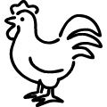 鶏のアイコンのフリーダウンロード用PNG画像