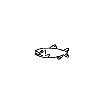 鮭のアイコンのアイキャッチ用画像